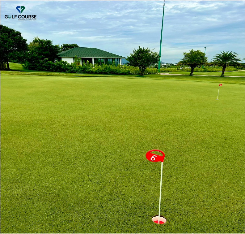 KHU VỰC SHORT GAME